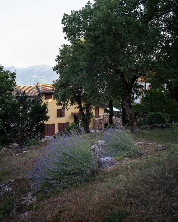 La Casetta, Appartamento Con Vista Lago E Montagne San Zeno di Montagna Exteriör bild